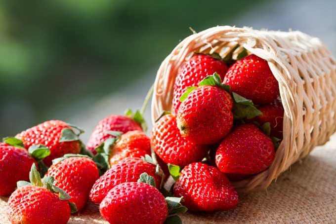 Make Strawberry Season Last All Year